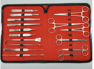 mini surgical set